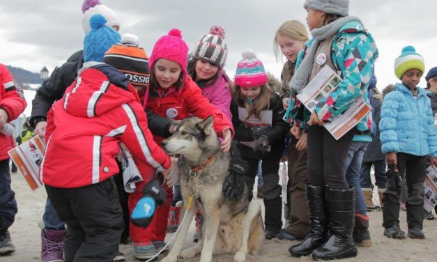 Grande Odyssée à Megève. Un temps de chien pour l’édition 2017